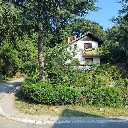 Nena&Rale Rooms Donji Milanovac Buitenkant foto
