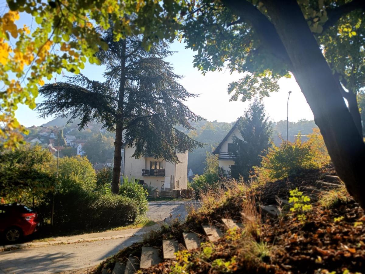 Nena&Rale Rooms Donji Milanovac Buitenkant foto