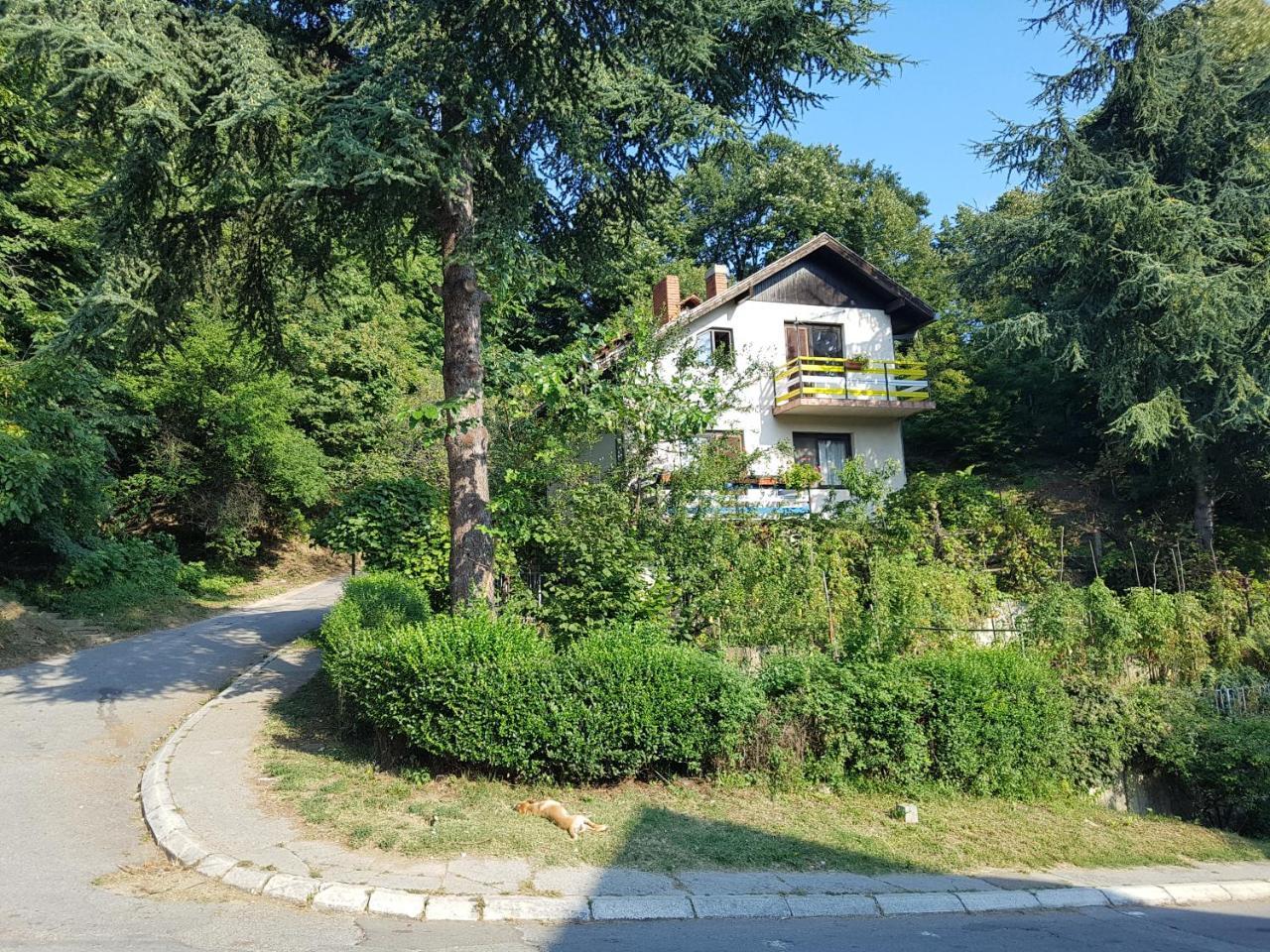 Nena&Rale Rooms Donji Milanovac Buitenkant foto