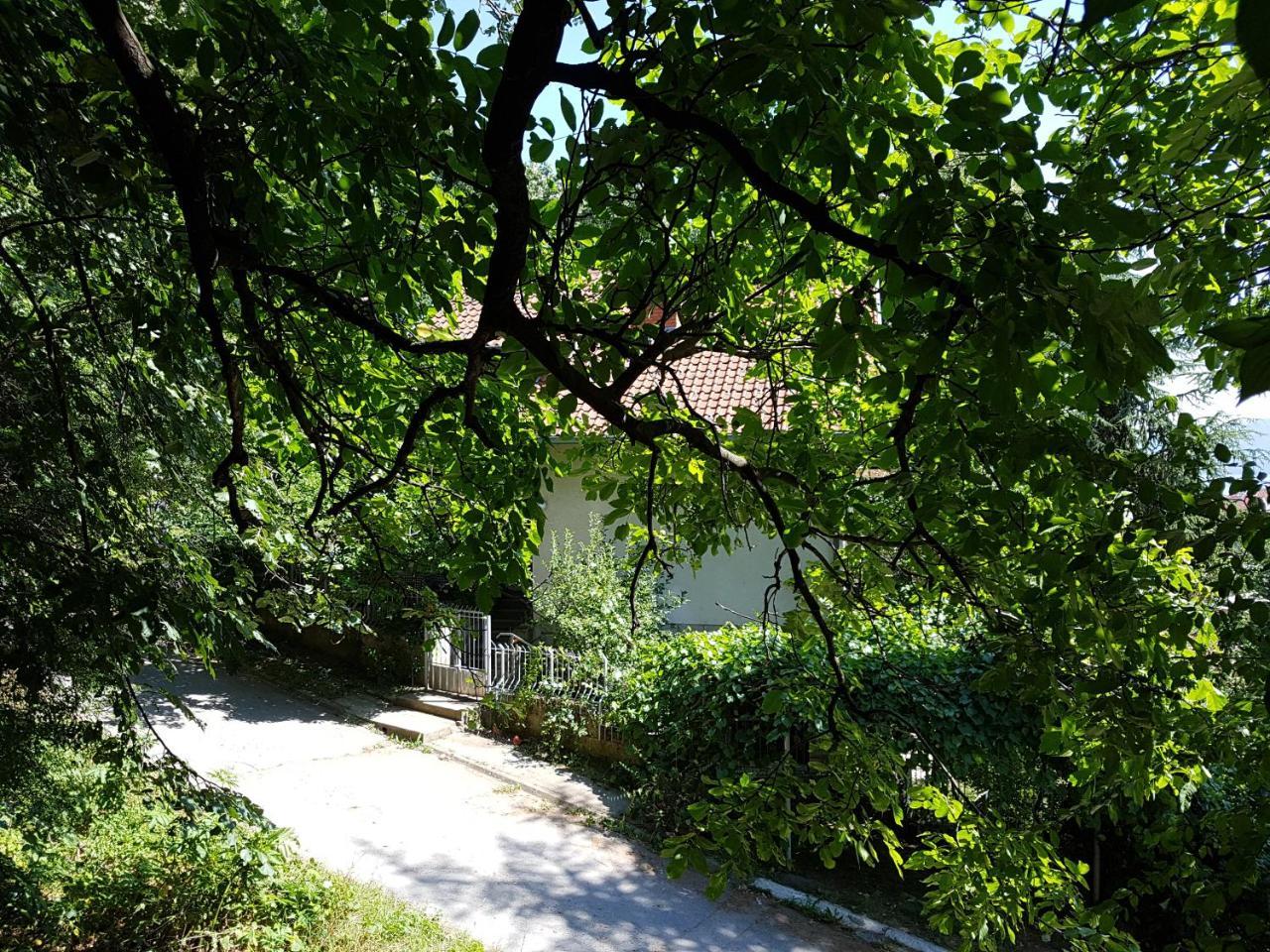 Nena&Rale Rooms Donji Milanovac Buitenkant foto